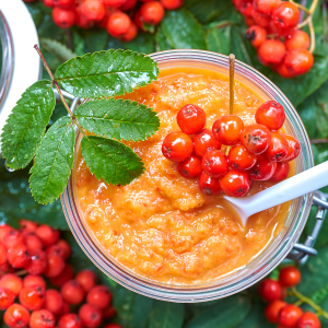 ketchup z jarzębiny