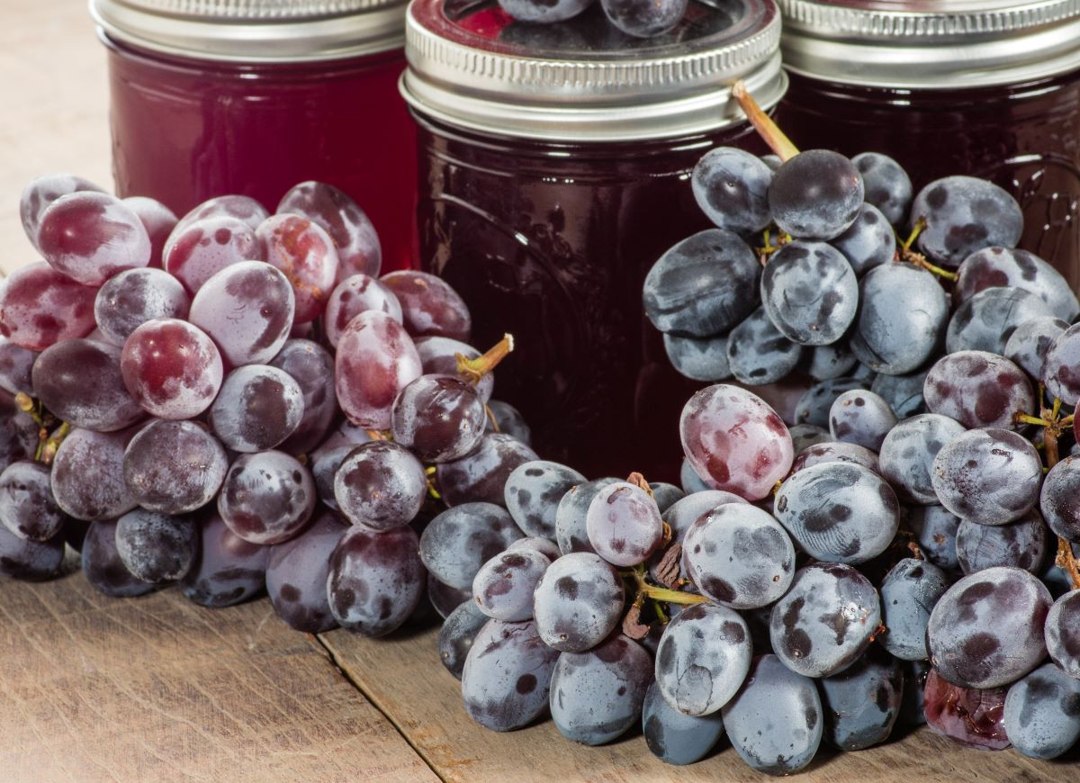 galaretka z winogron