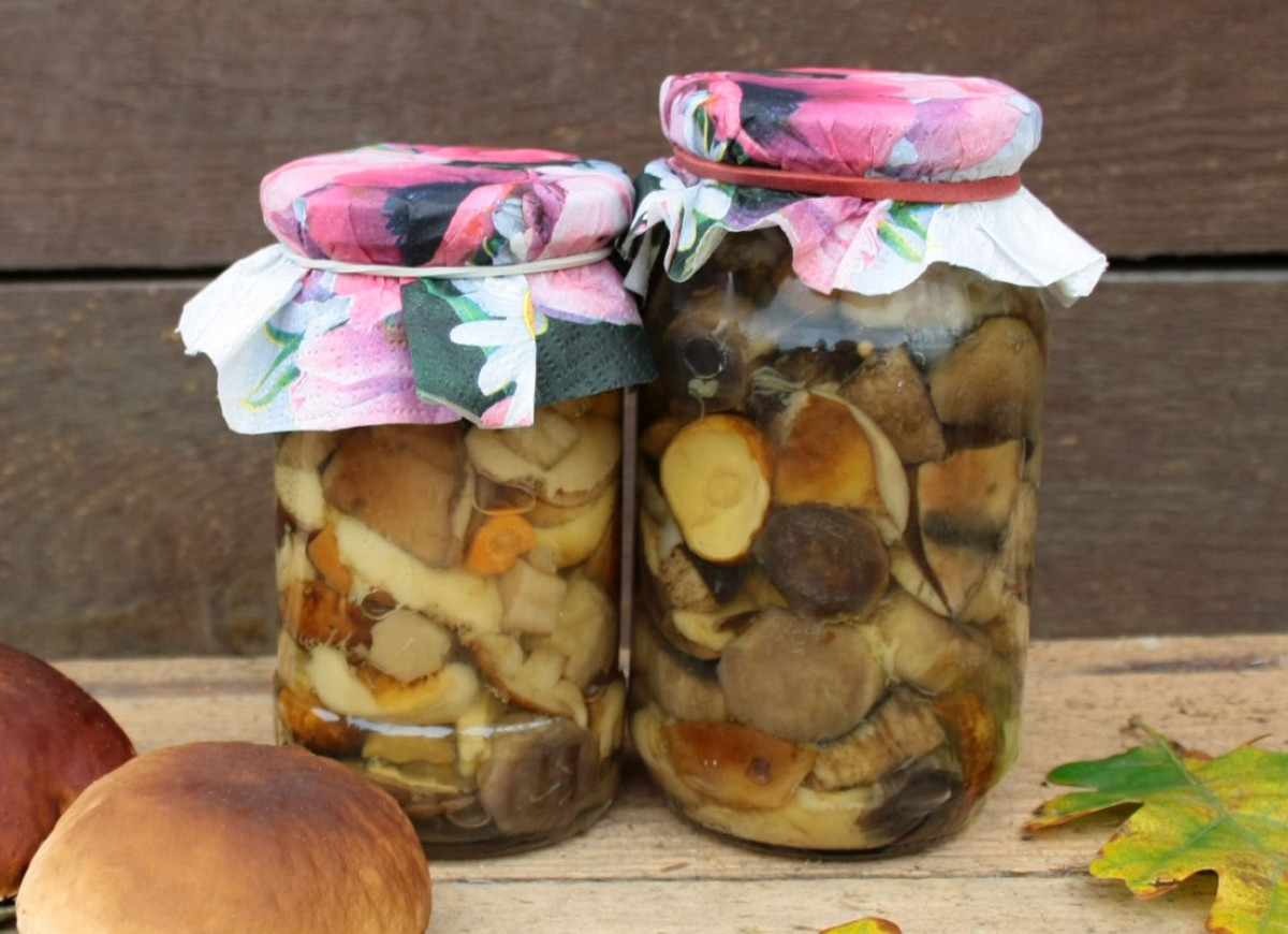 grzyby marynowane