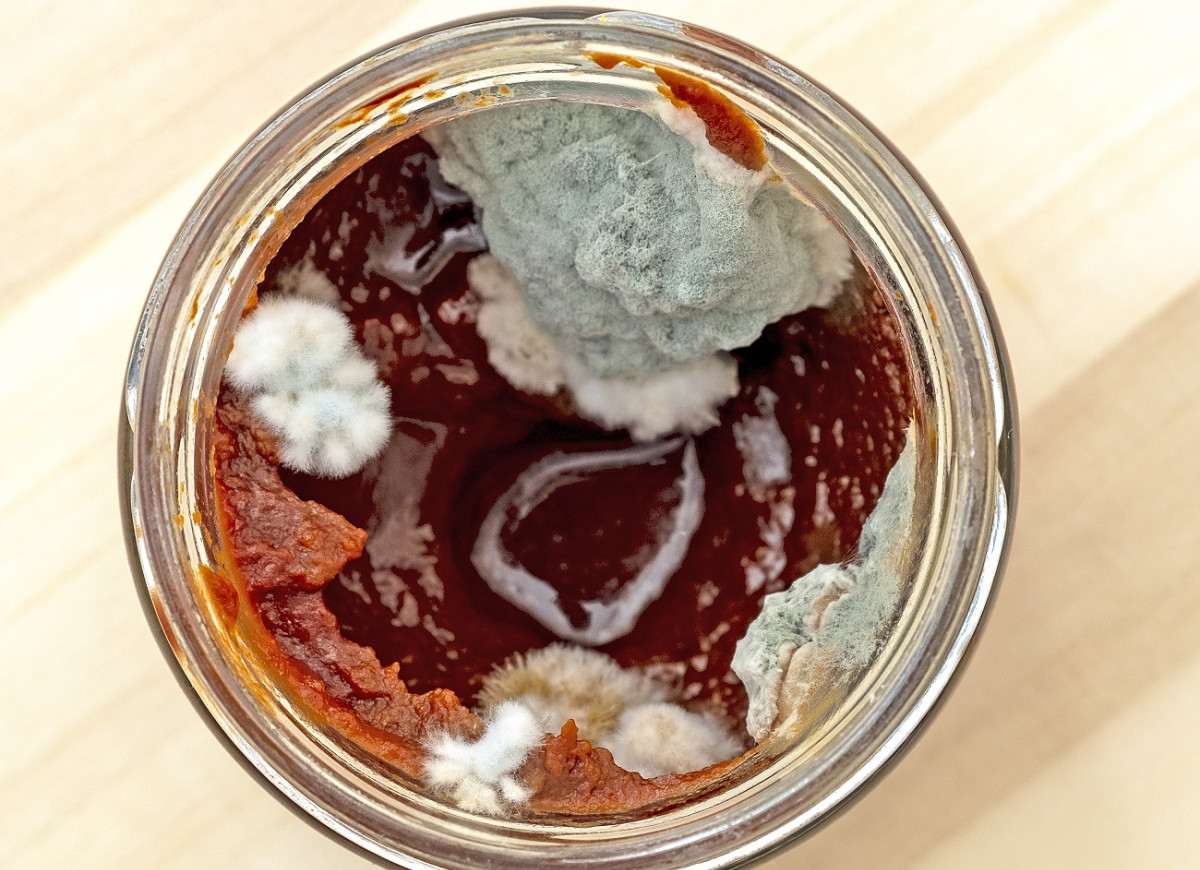 pleśń w koncentracie pomidorowy