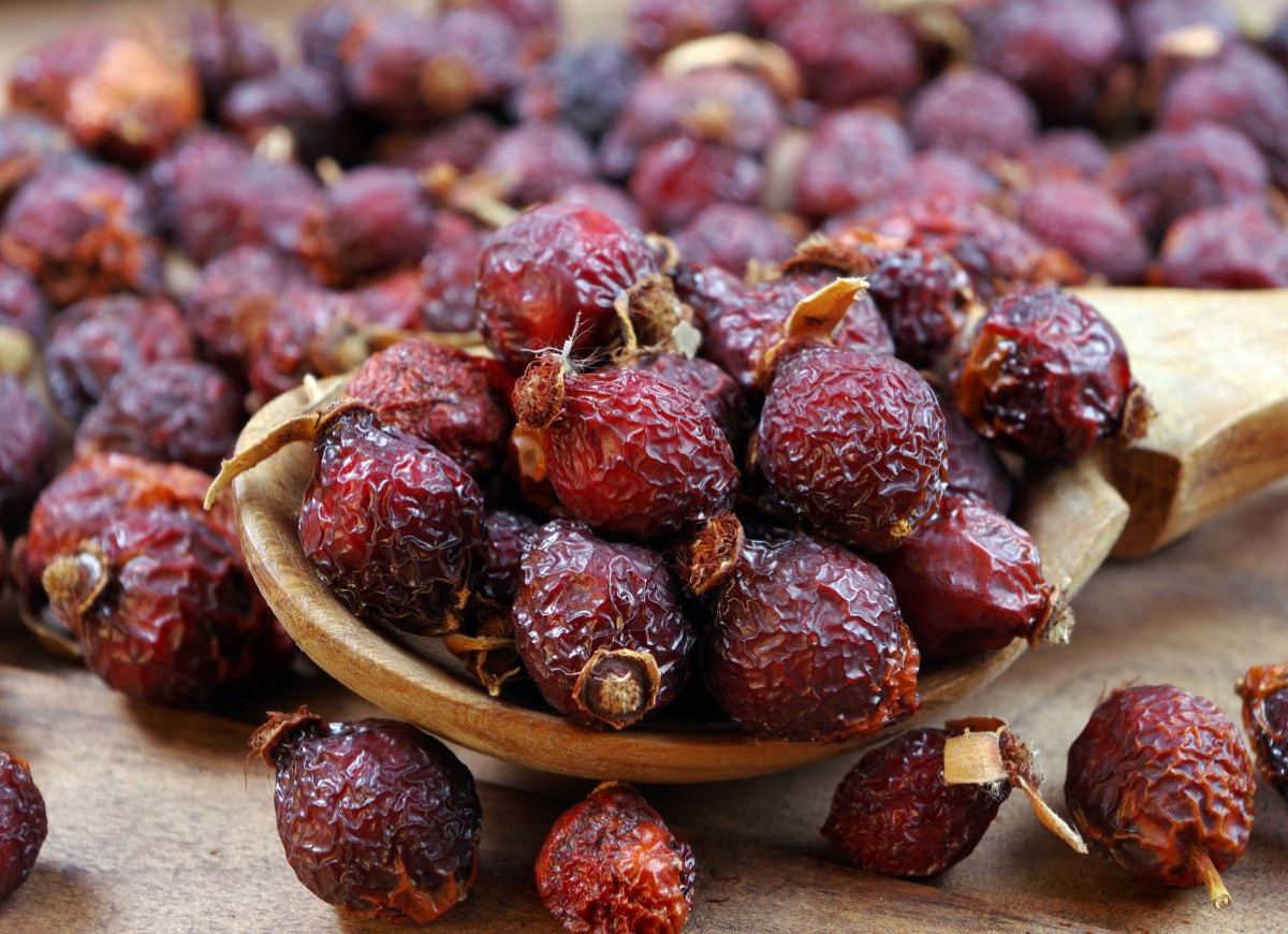 suszenie owoców dzikiej róży