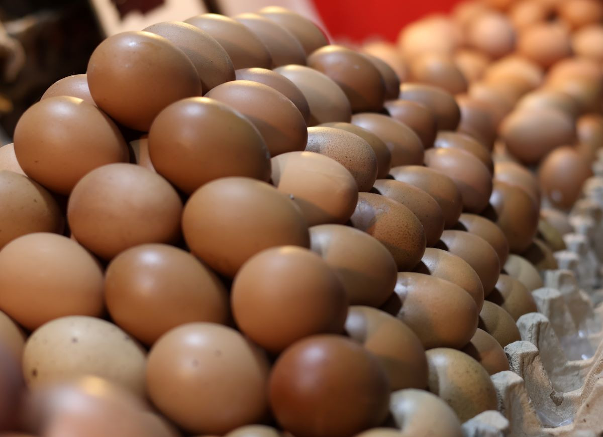 ceny jajek przed Wielkanocą 2025