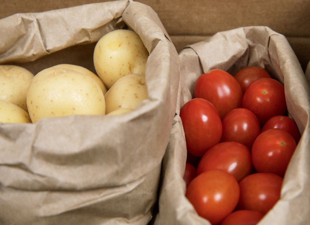 uprawa pomidorów i ziemniaków