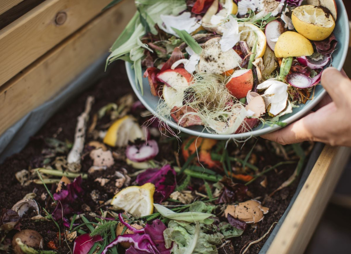 nawóz do warzywnika