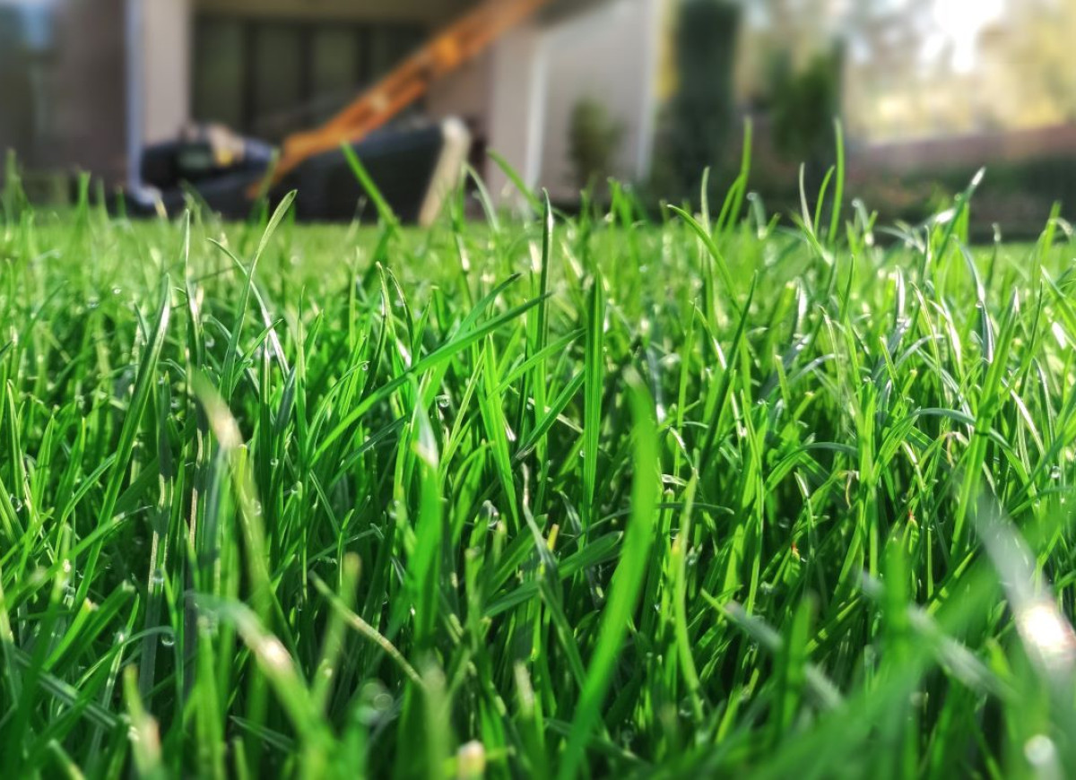 wiosenne nawożenie trawnika