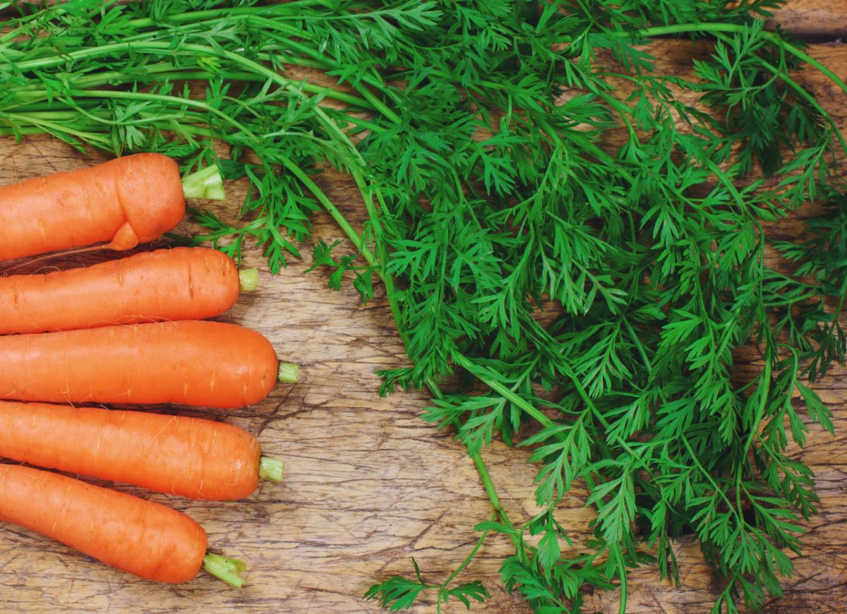 co zrobić z natką marchewki