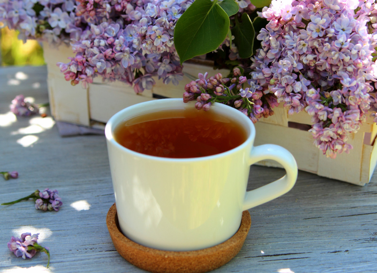 fermentowana herbata z bzu lilaka