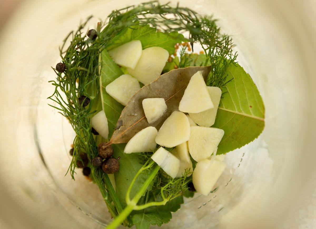 przyprawy do ogórków małosolnych