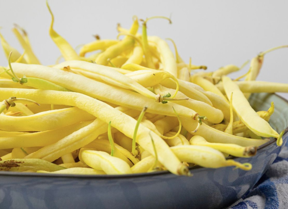 fasolka szparagowa żółta