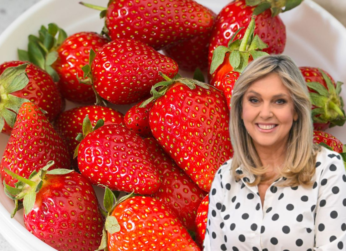 truskawki Ewa Wachowicz