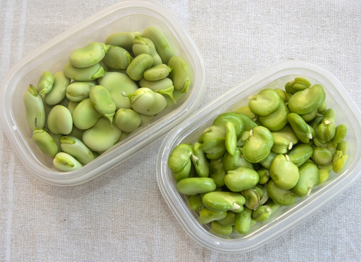 czy można jeść bób na surowo