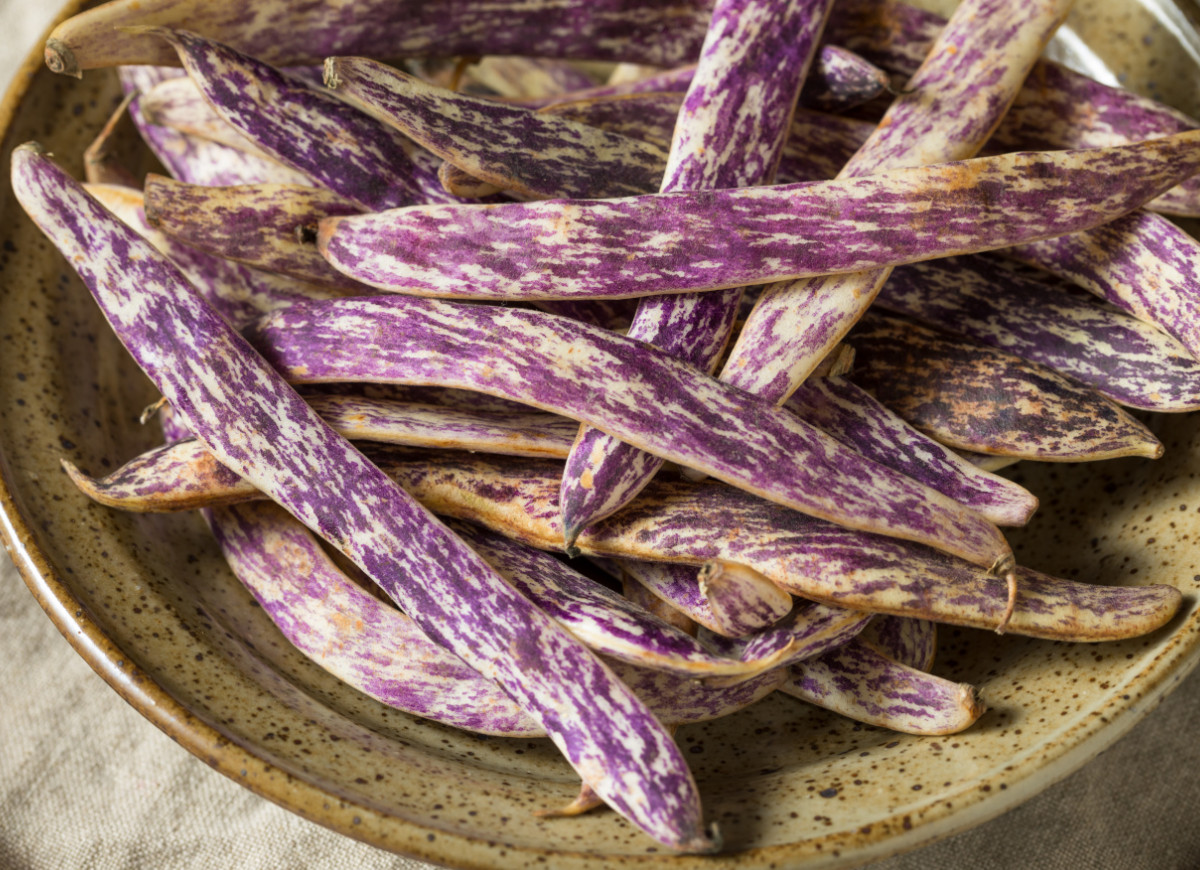 Marmurkowa fasolka szparagowa