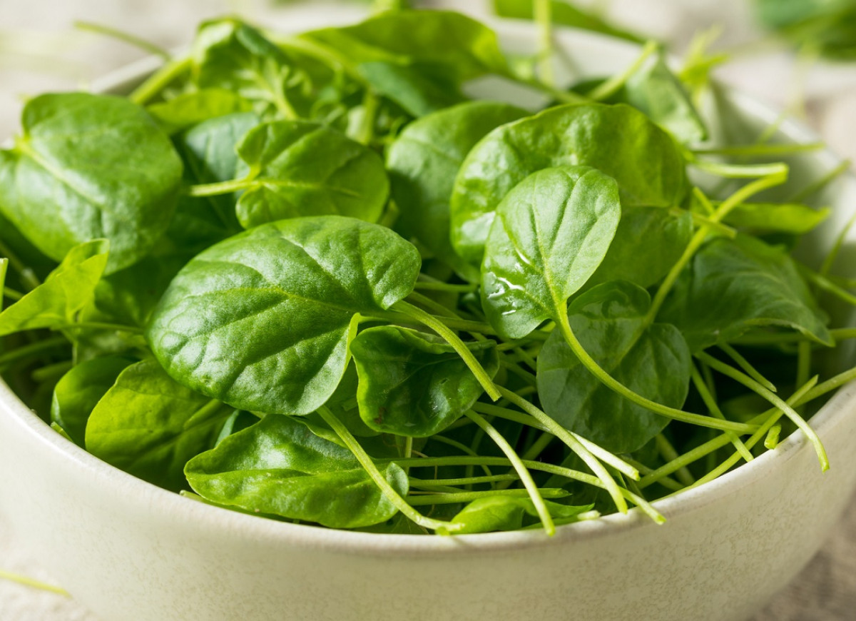 najzdrowsze warzywo na świecie