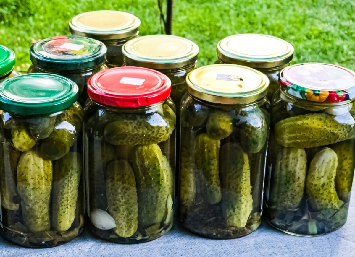 ogórki kiszone z herbatą liściastą