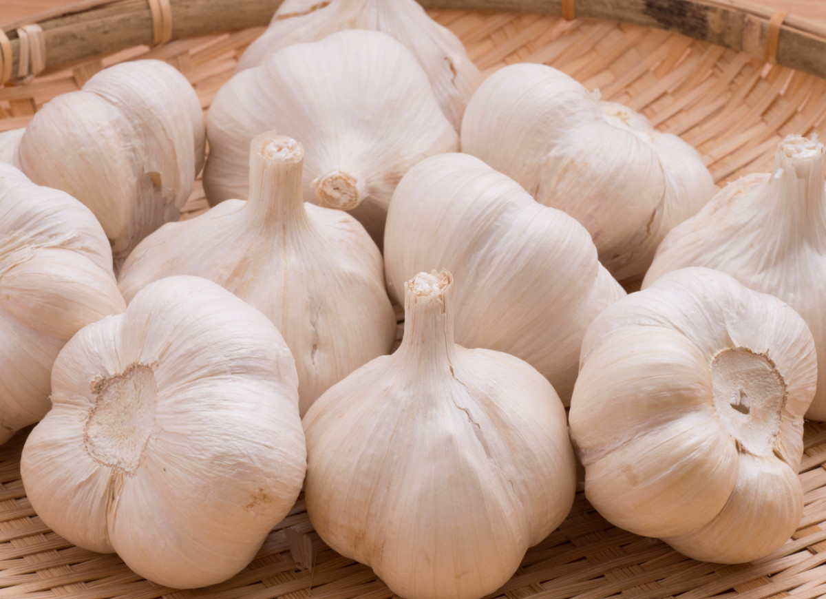 Przechowywanie czosnku