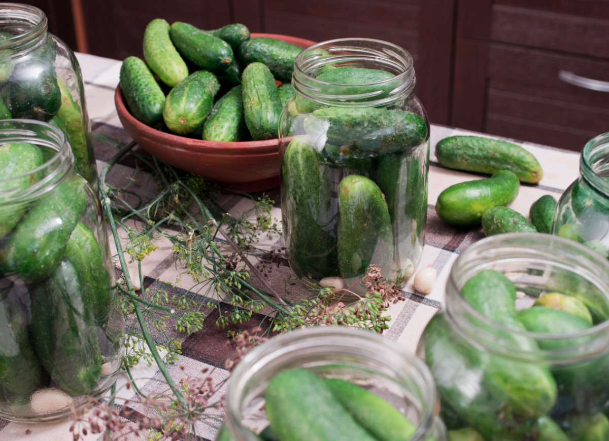 nakłuwanie ogórków przed kiszeniem