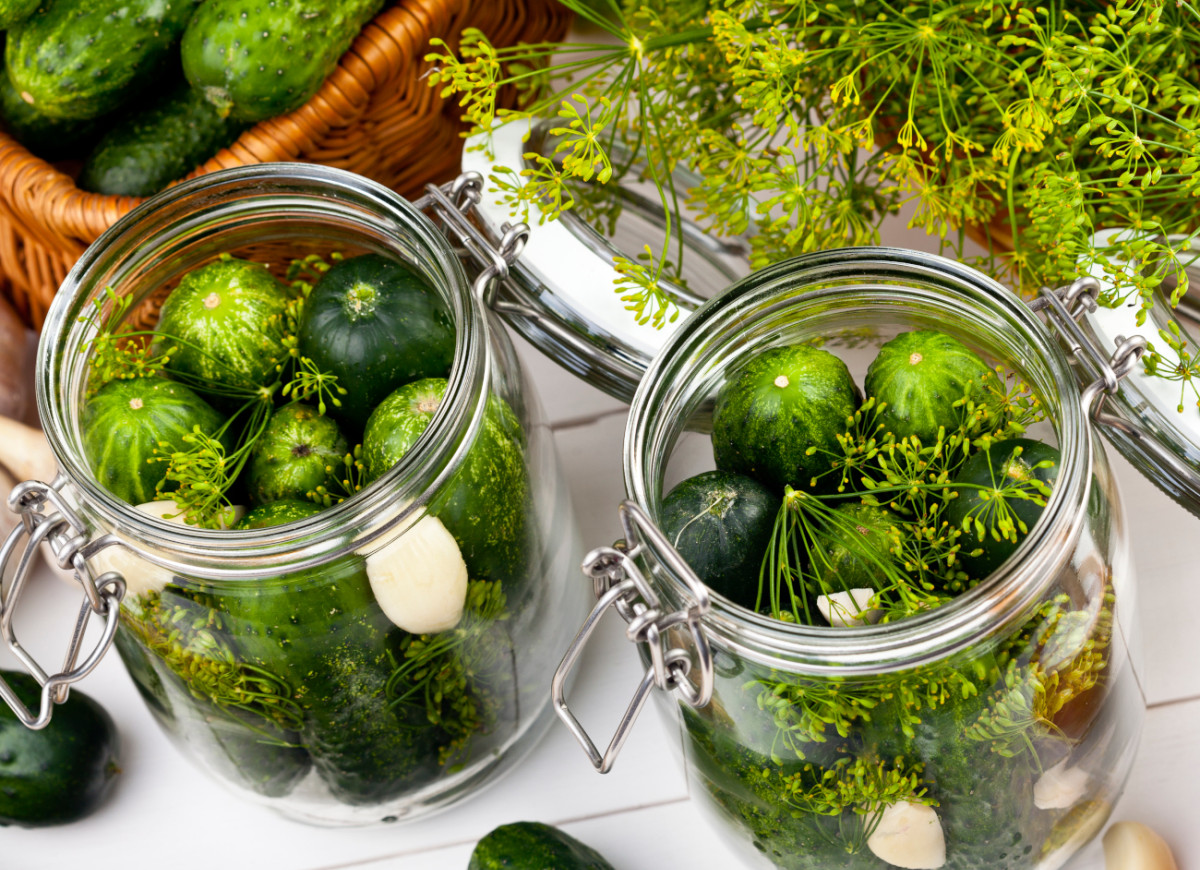 kiszenie ogórków