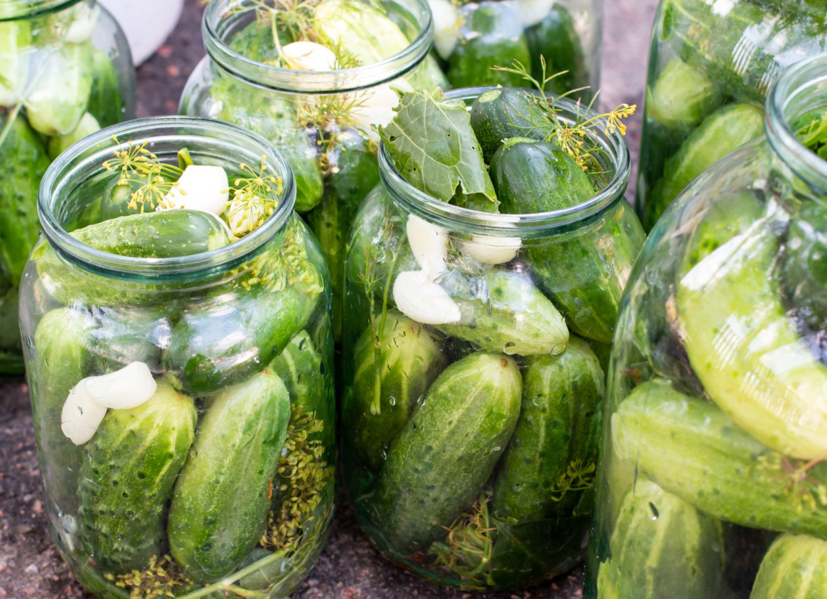 kiszenie ogórków