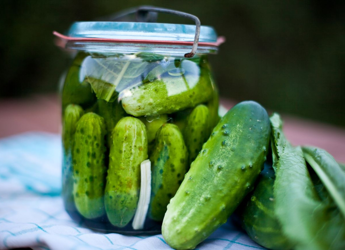 ogórki małosolne po krakowsku