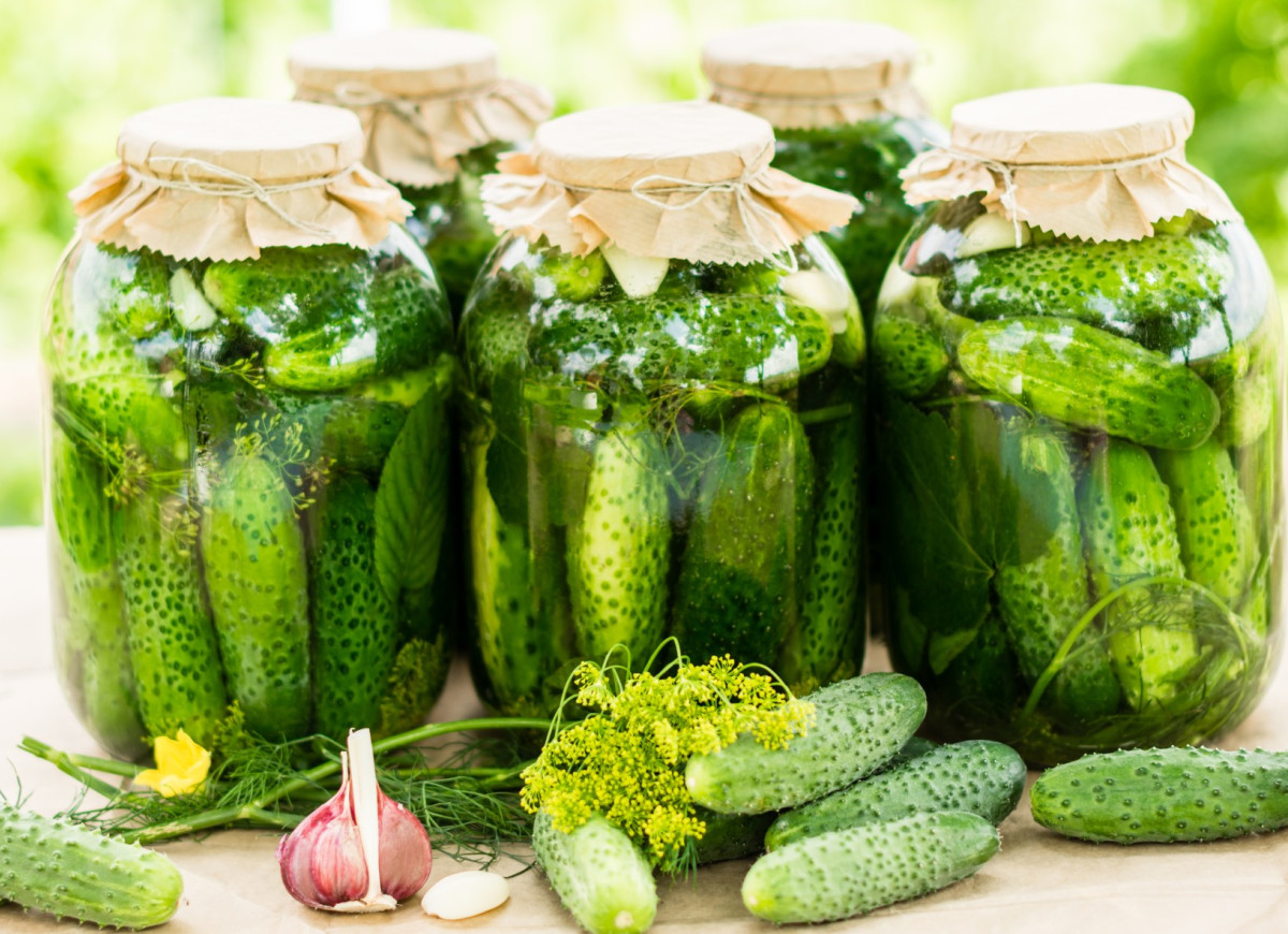 ogórki kiszone z imbirem