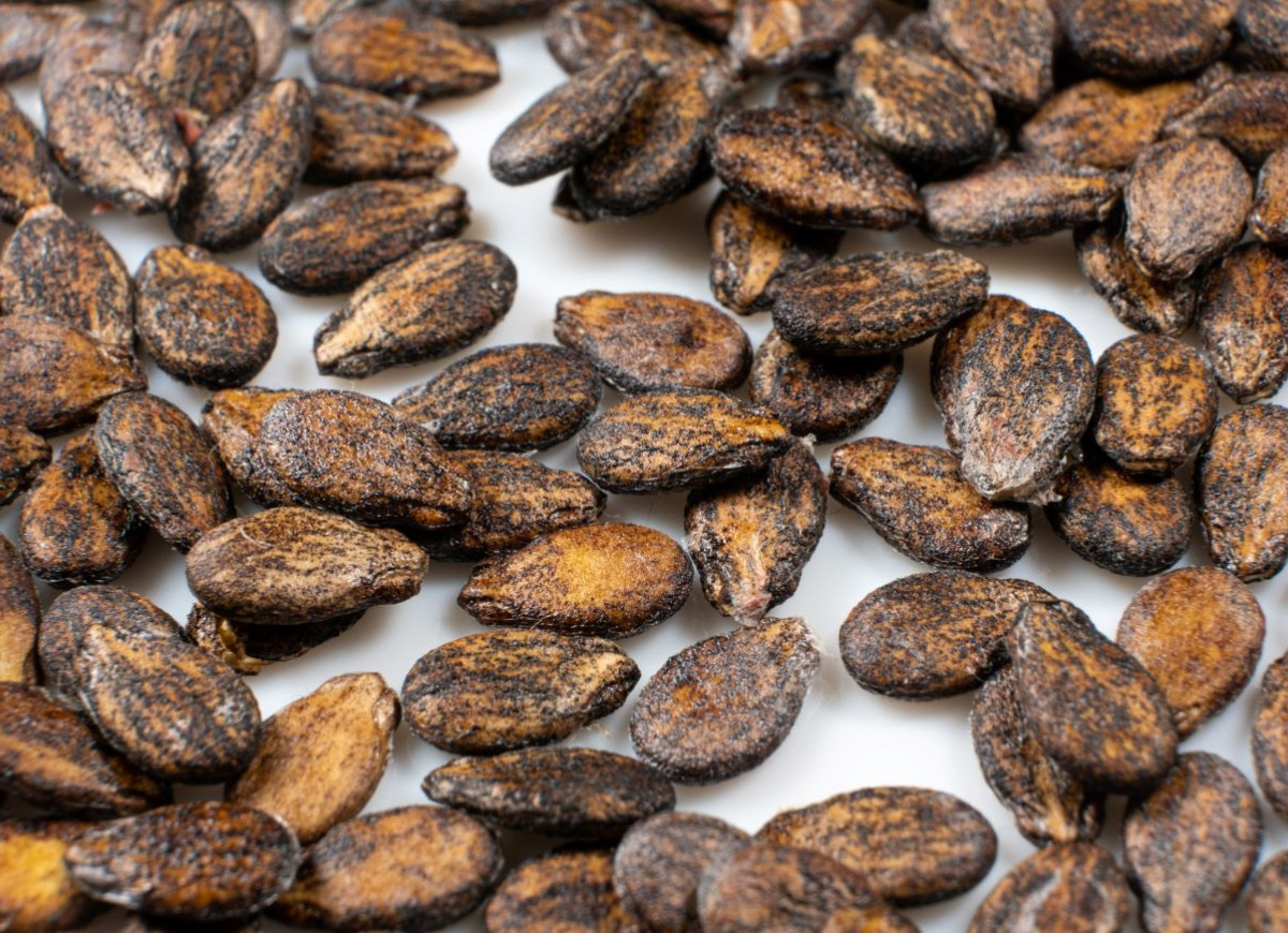 prażone pestki arbuza