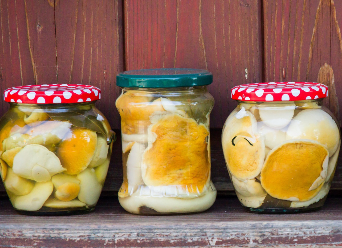 grzyby marynowane w occie jabłkowym