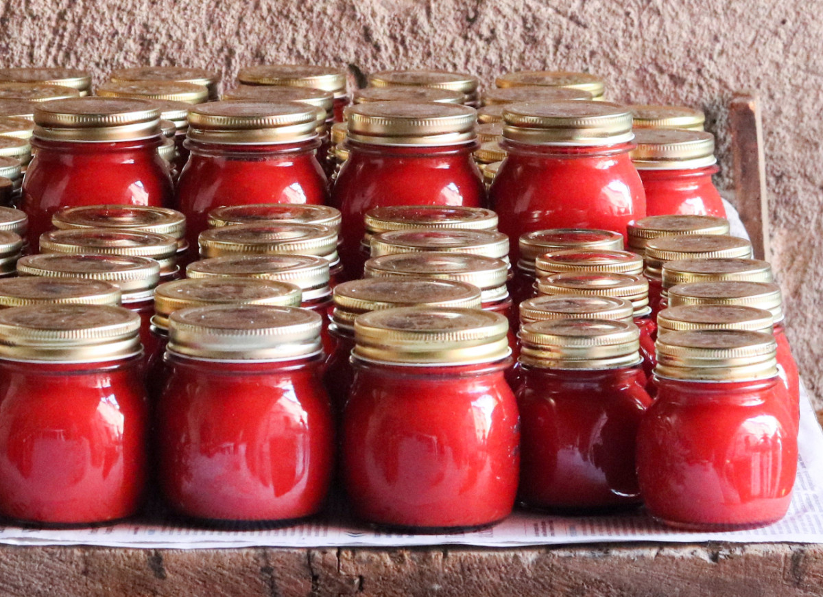 Koncentrat pomidorowy