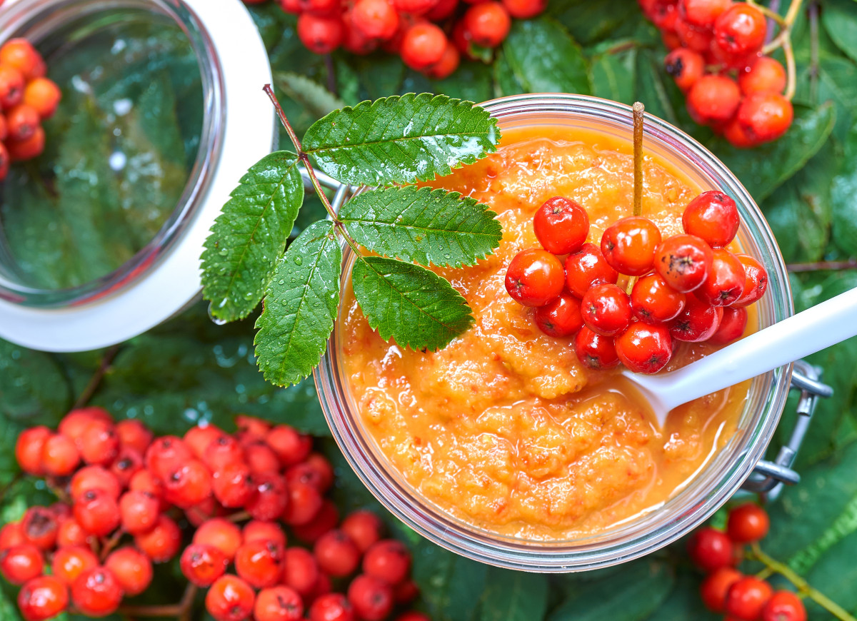 ketchup z jarzębiny