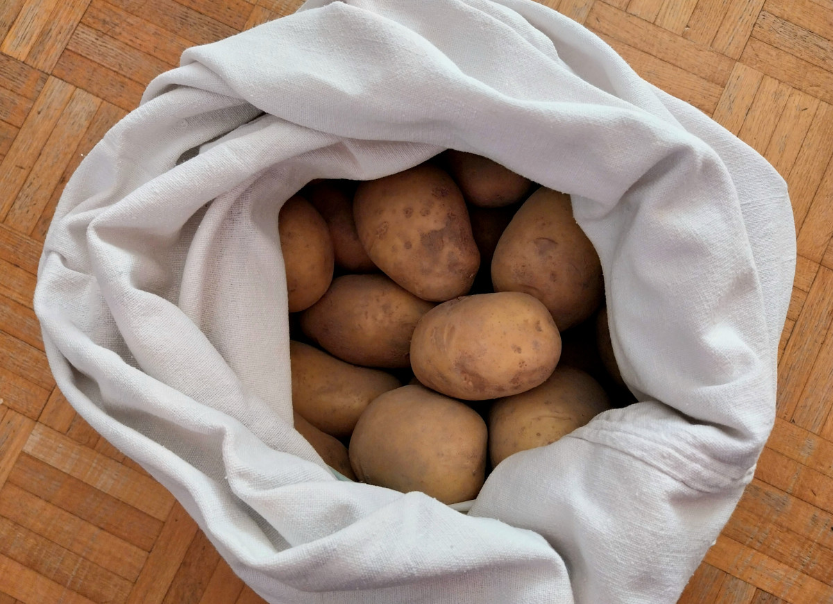 przechowywanie ziemniaków