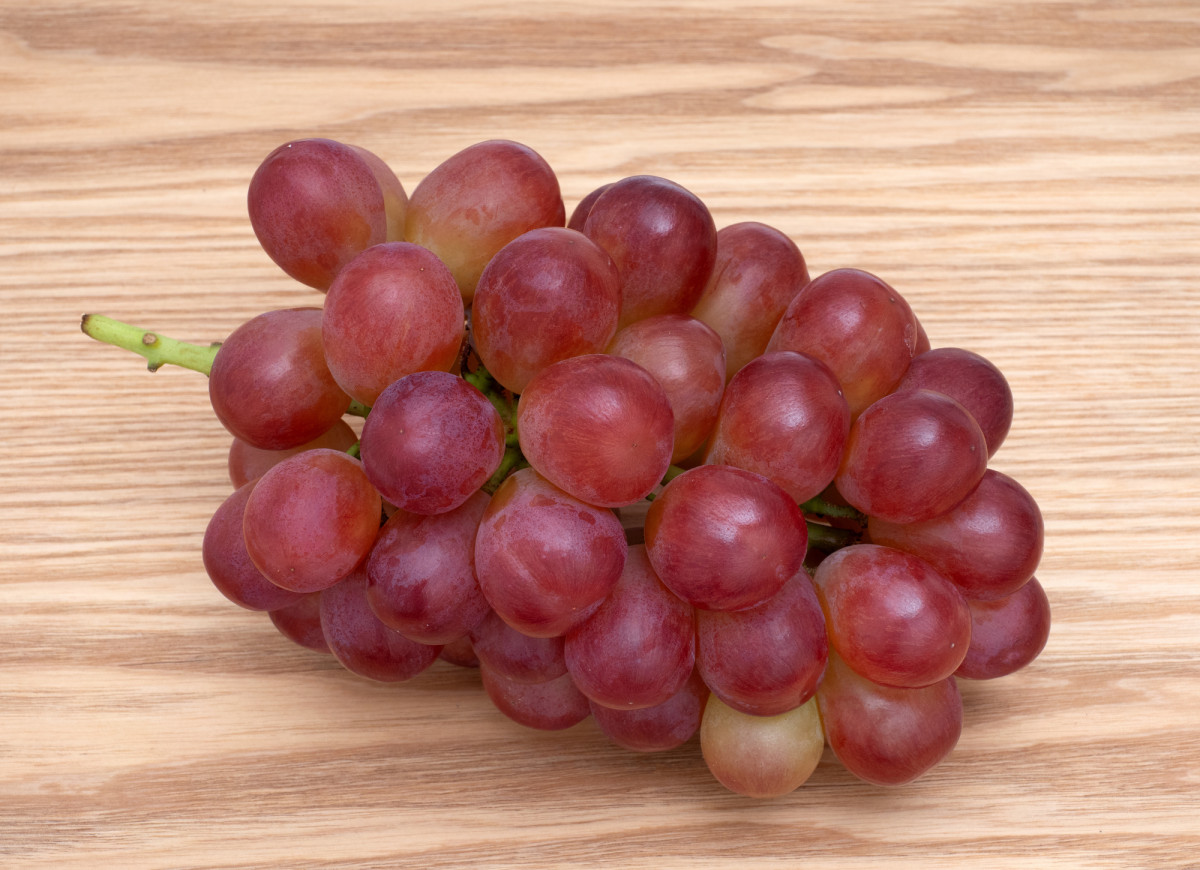 winogrona królowej Niny