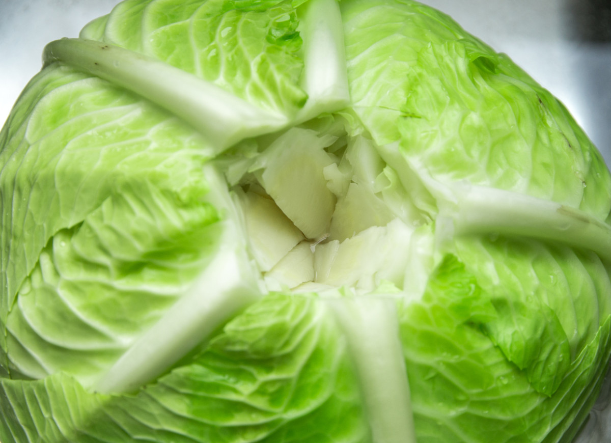 kapusta na gołąbki