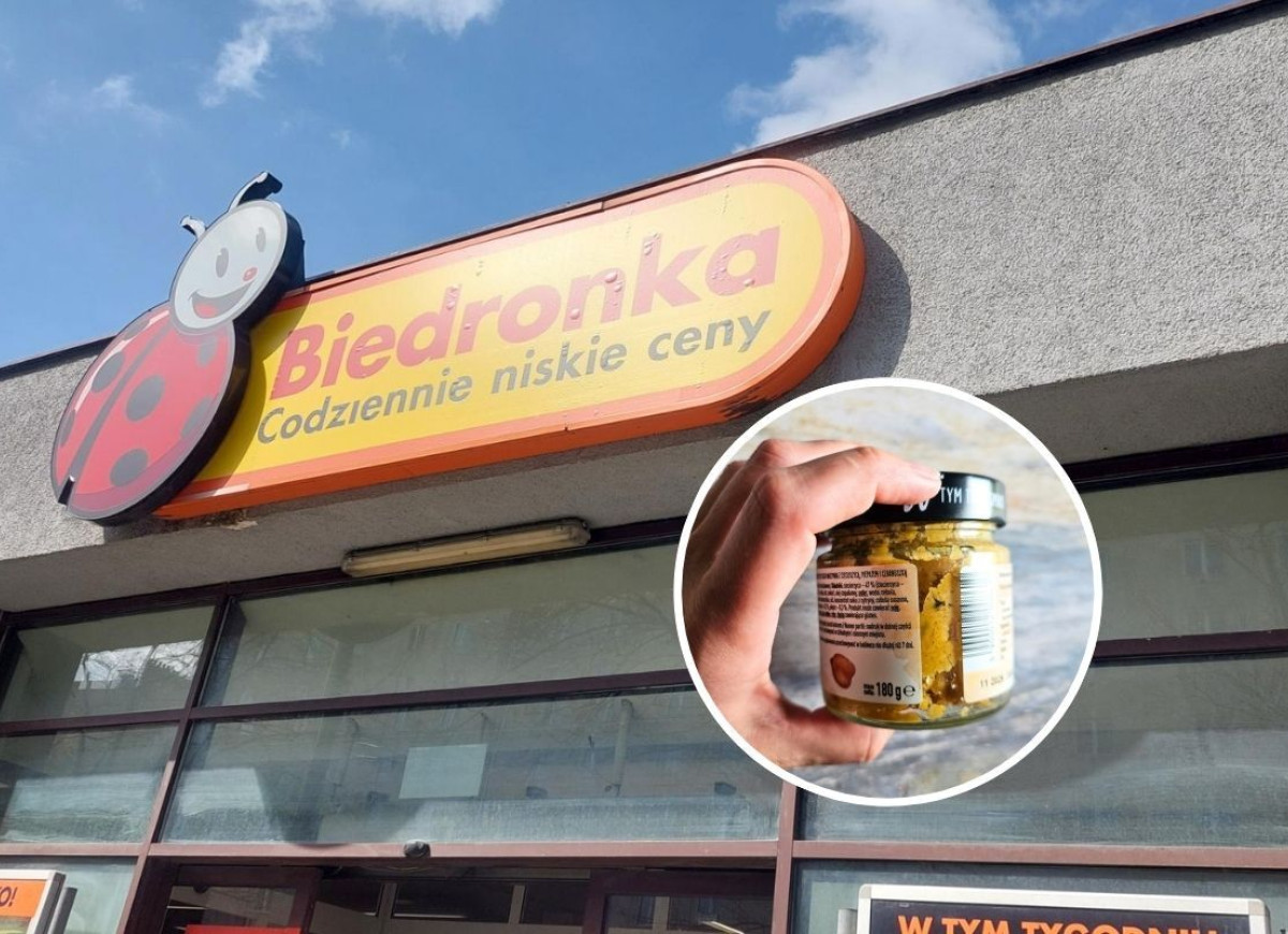 pasta z ciecierzycy z Biedronki