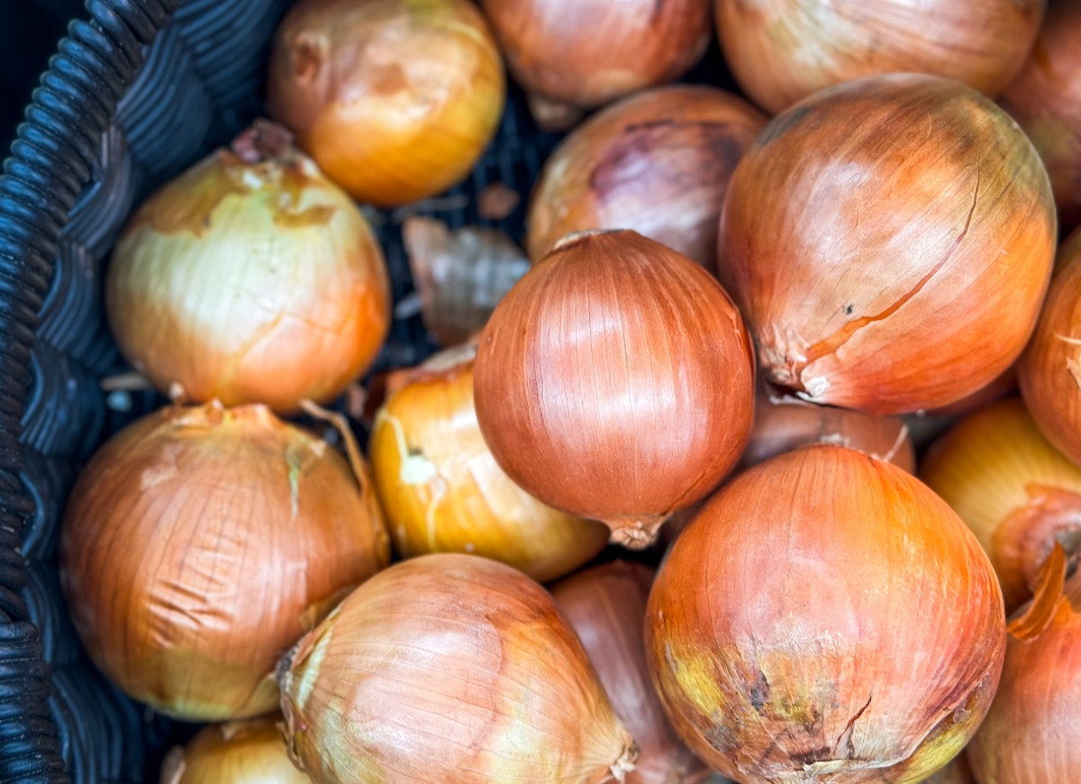 przechowywanie cebuli