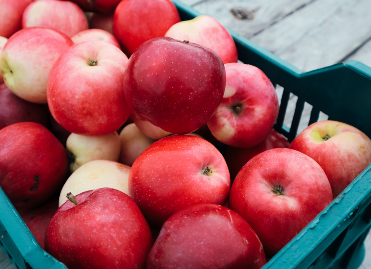 Przechowywanie jabłek