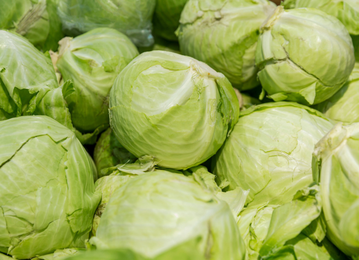 Przechowywanie kapusty