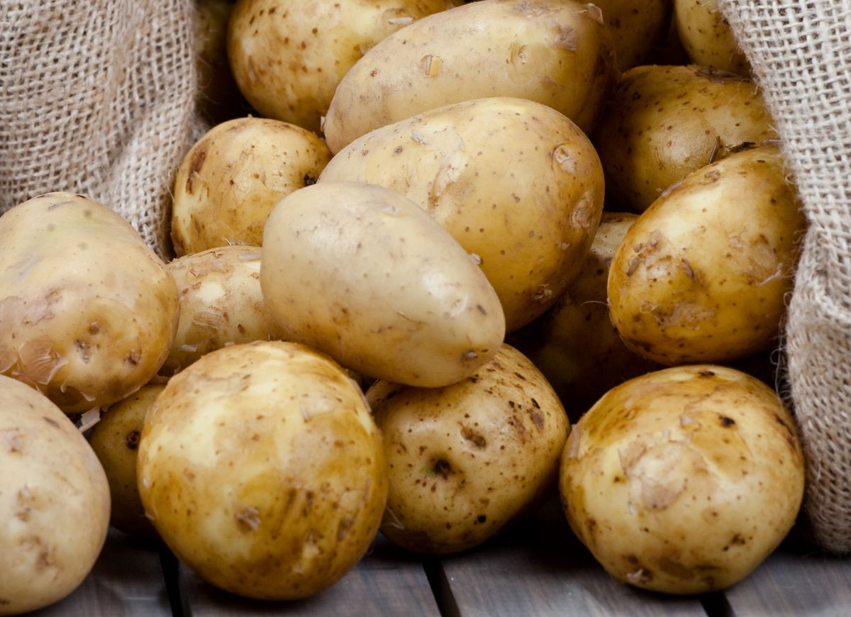 przechowywanie ziemniaków