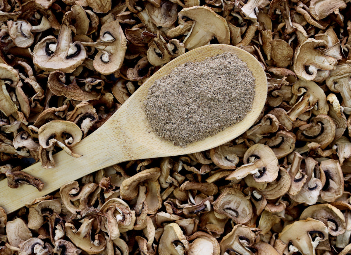 przyprawa puder z grzybów