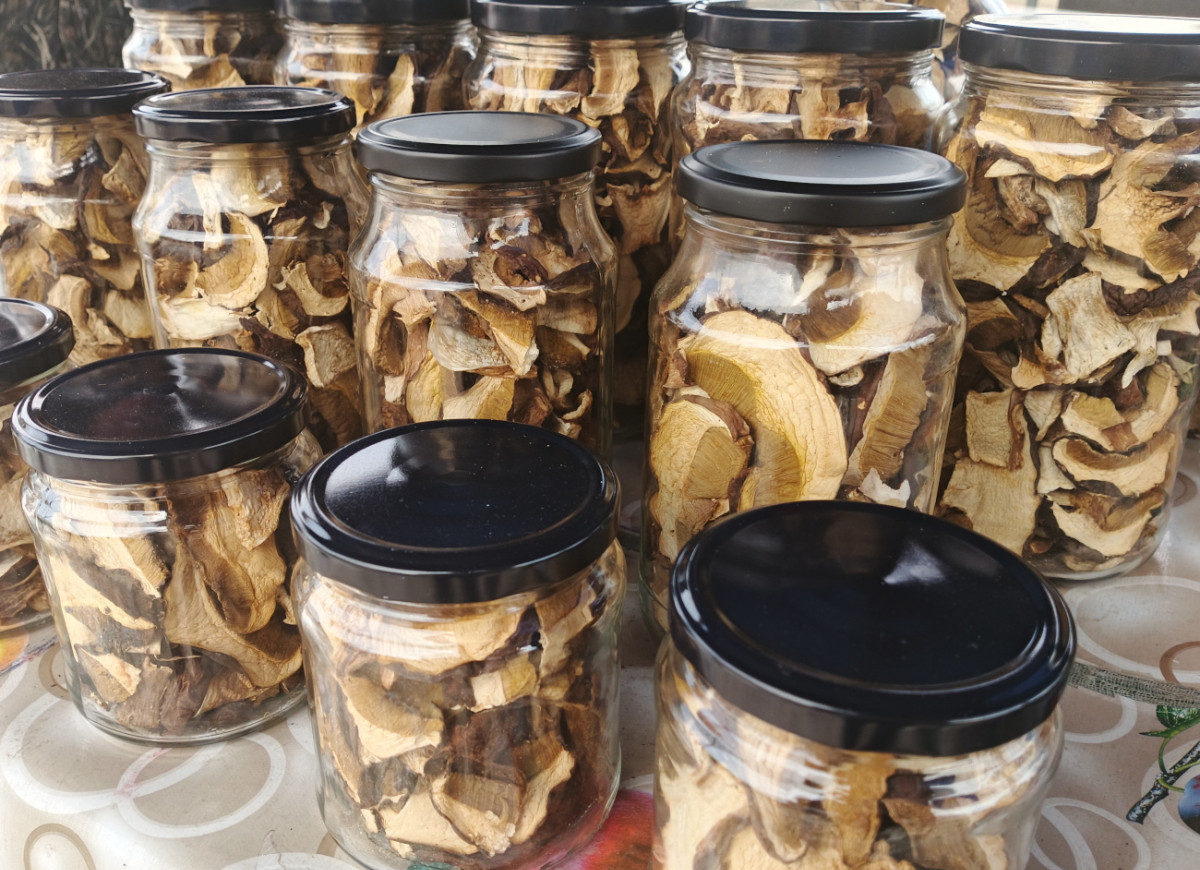 suszone grzyby w słoikach