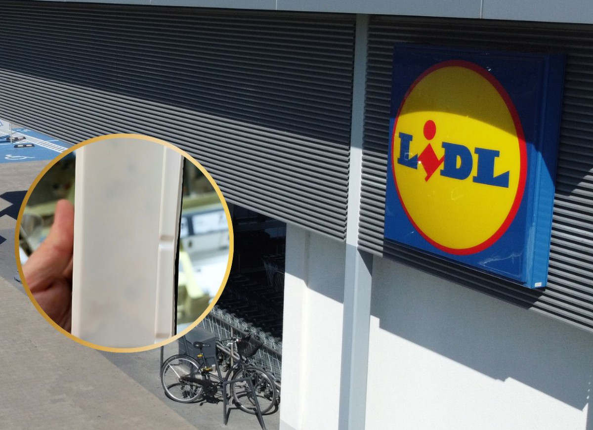 ser gorgonzola z Lidla