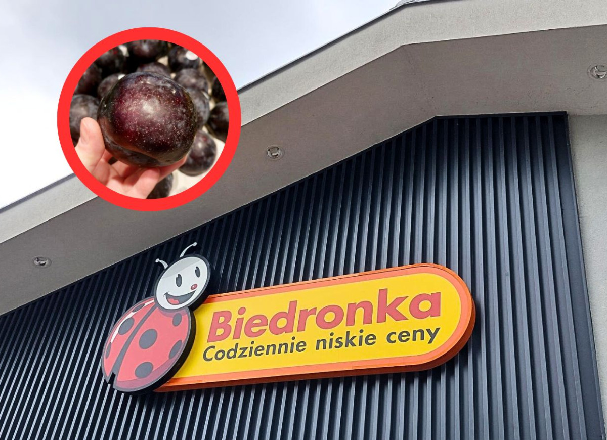 śliwki pluot w Biedronce