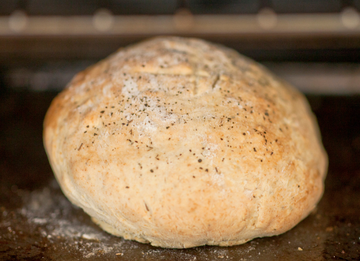 damper australijski chlebek