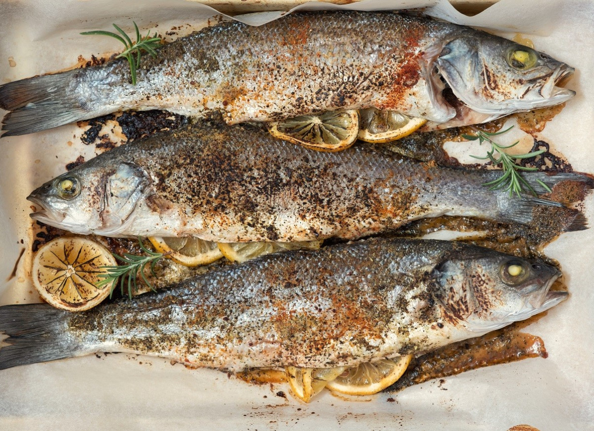 labraks - okoń morski