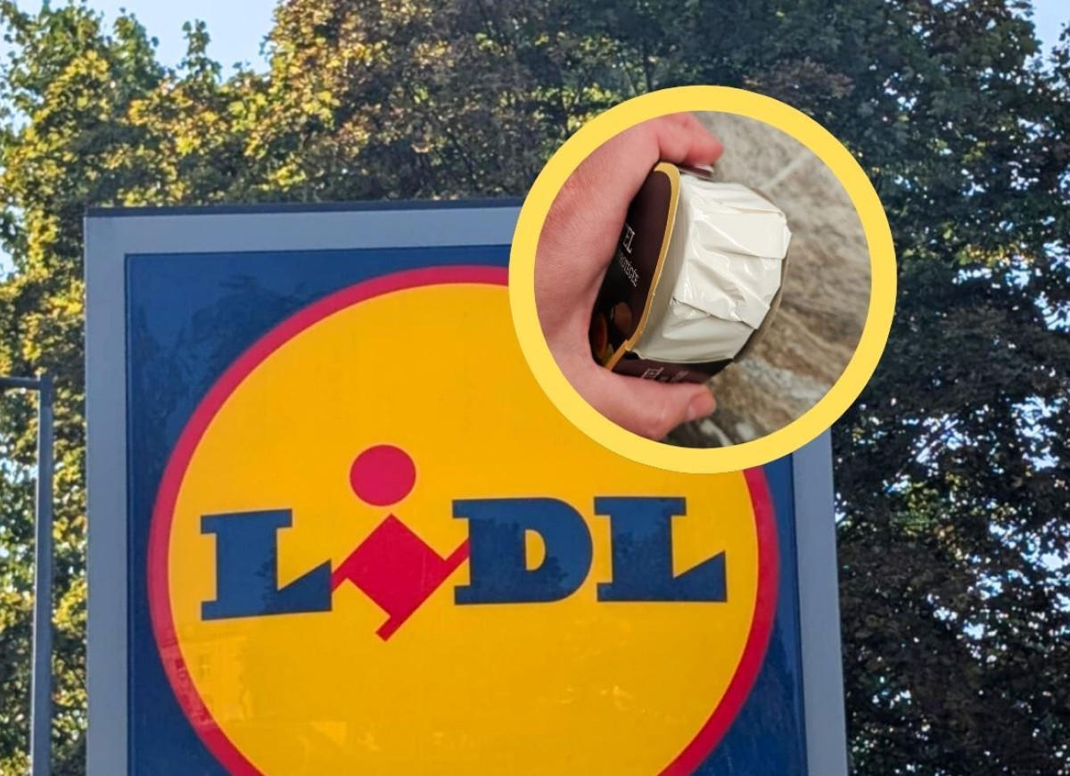 francuski ser z Lidla