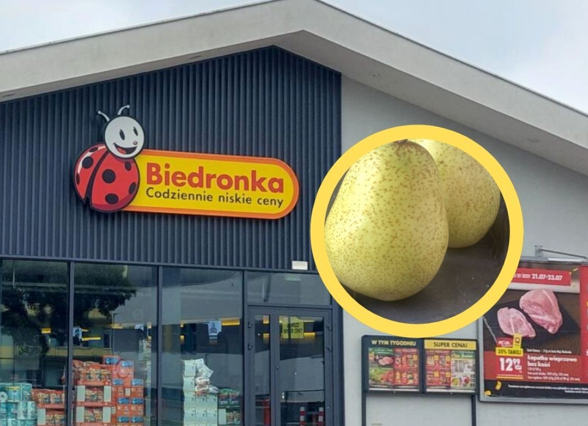 gruszka lukasówka w Biedronce