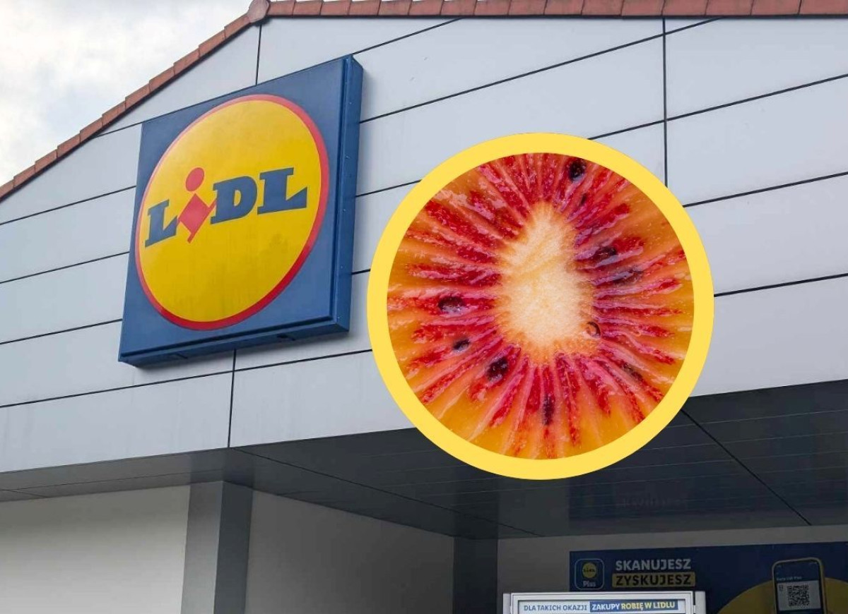 czerwone kiwi w Lidlu