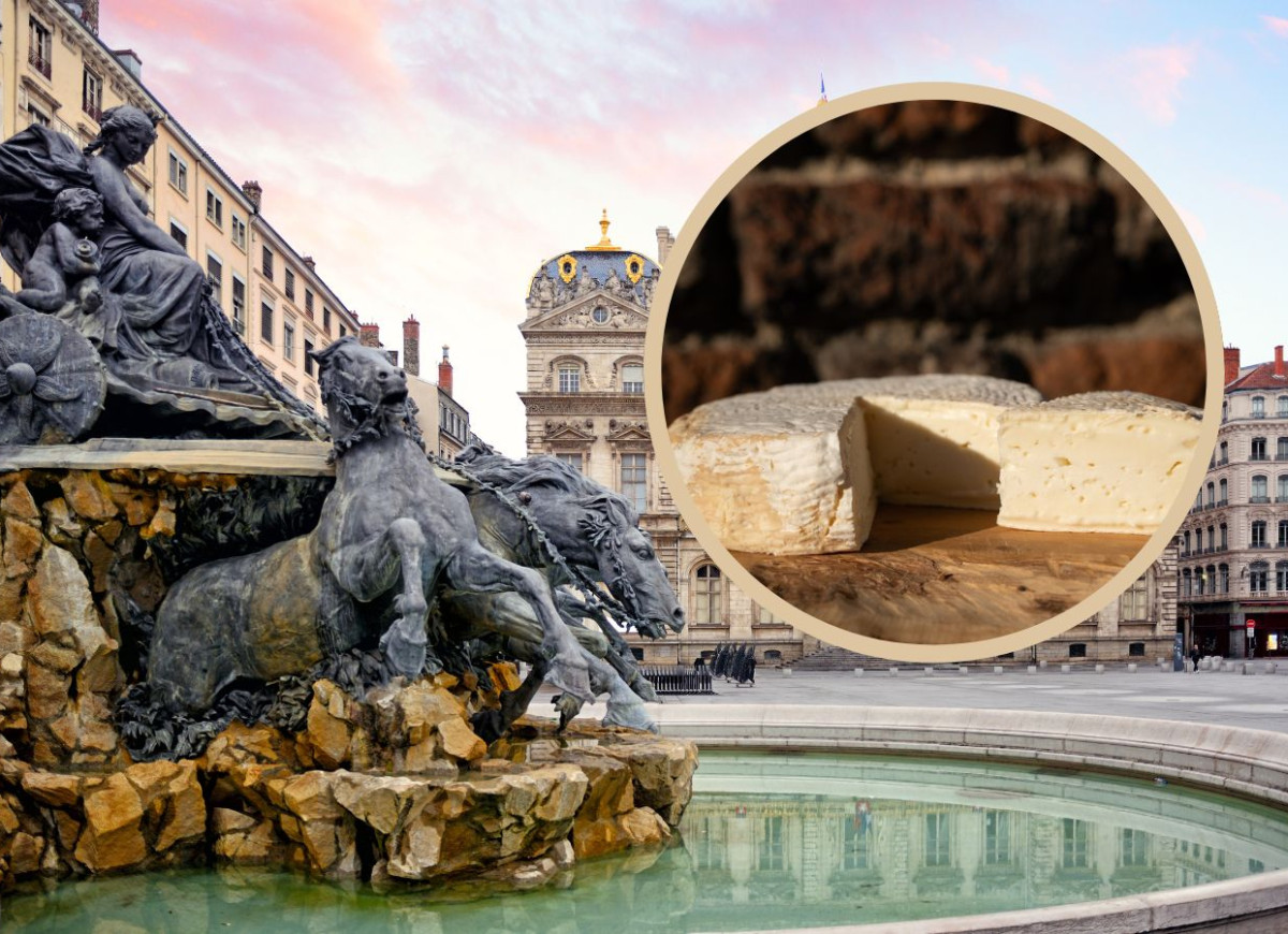 najlepszy polski ser