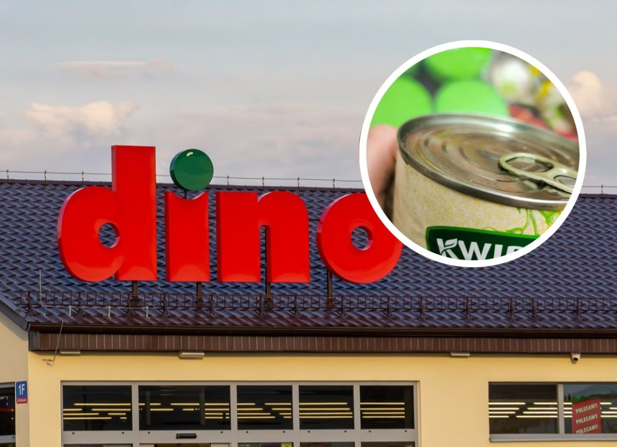 bób konserwowy Dino