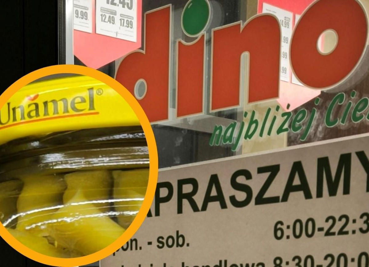 fasolka w słoikach z Dino