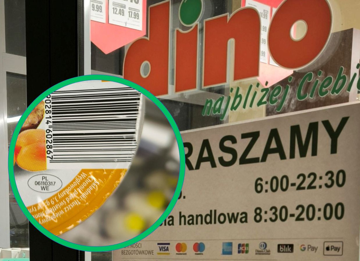 Dino smalec z morelą i curry