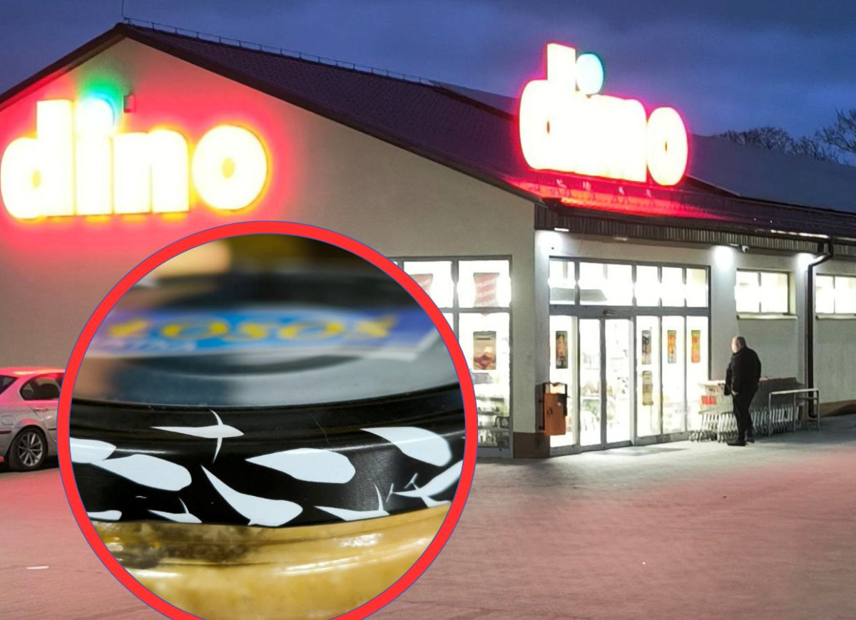 łosoś jalapeno z Dino